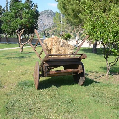 Oasis Apart Hotel Dalyan Bagian luar foto